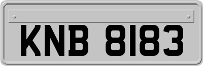 KNB8183