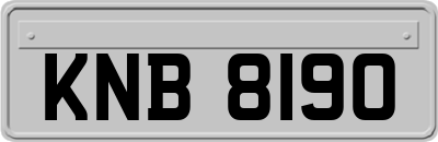 KNB8190