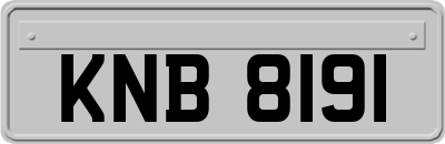 KNB8191