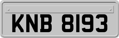 KNB8193