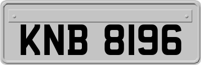 KNB8196