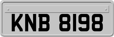 KNB8198