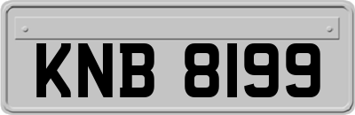 KNB8199