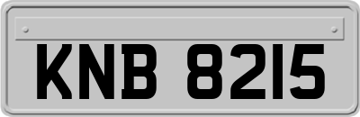 KNB8215