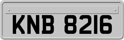 KNB8216