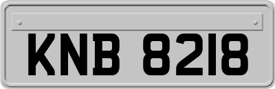 KNB8218