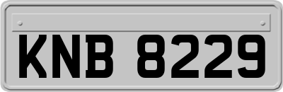 KNB8229