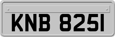 KNB8251