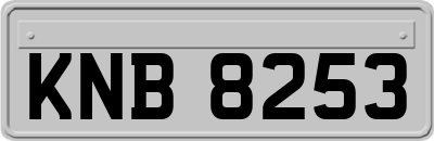 KNB8253