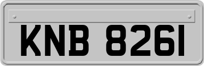 KNB8261