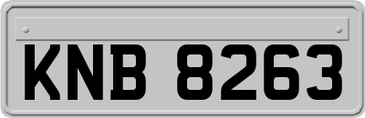 KNB8263