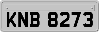 KNB8273