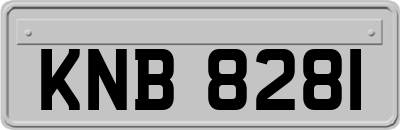 KNB8281