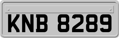 KNB8289