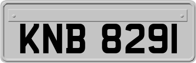 KNB8291