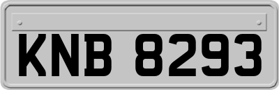 KNB8293