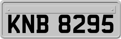 KNB8295