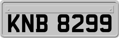 KNB8299