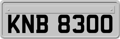 KNB8300