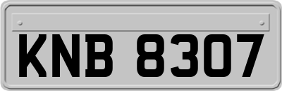 KNB8307