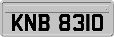 KNB8310