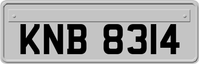 KNB8314