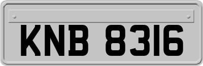 KNB8316