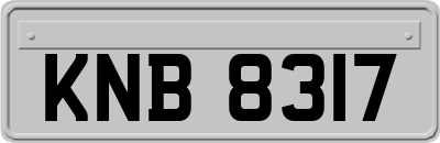 KNB8317