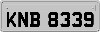 KNB8339