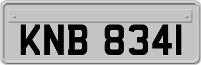 KNB8341