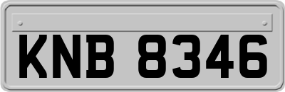 KNB8346