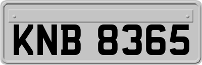 KNB8365