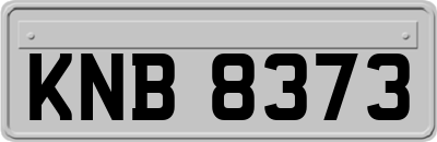 KNB8373