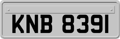 KNB8391