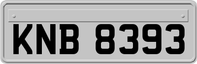 KNB8393