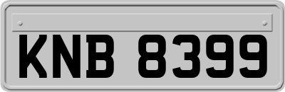 KNB8399