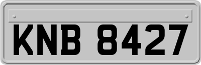 KNB8427