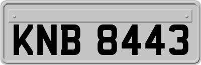 KNB8443