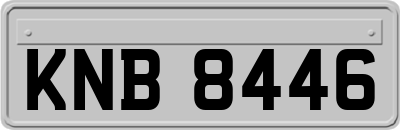 KNB8446