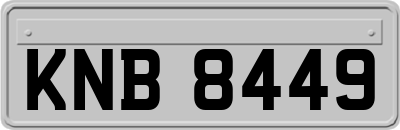 KNB8449