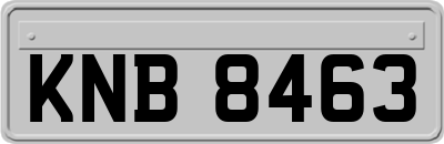 KNB8463