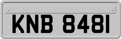 KNB8481