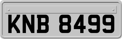 KNB8499