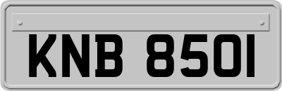 KNB8501