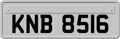 KNB8516