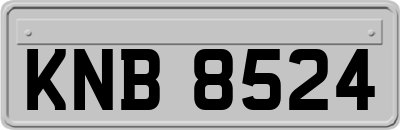 KNB8524