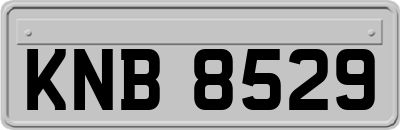 KNB8529