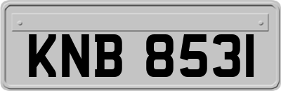 KNB8531