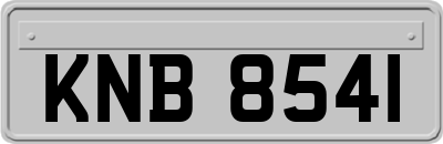 KNB8541