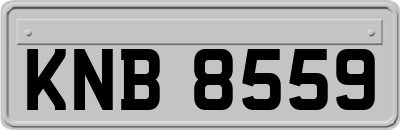 KNB8559